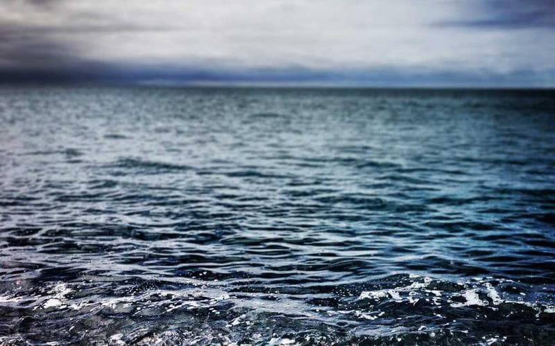 Horizon 3 : Guerrilla Games recrute massivement